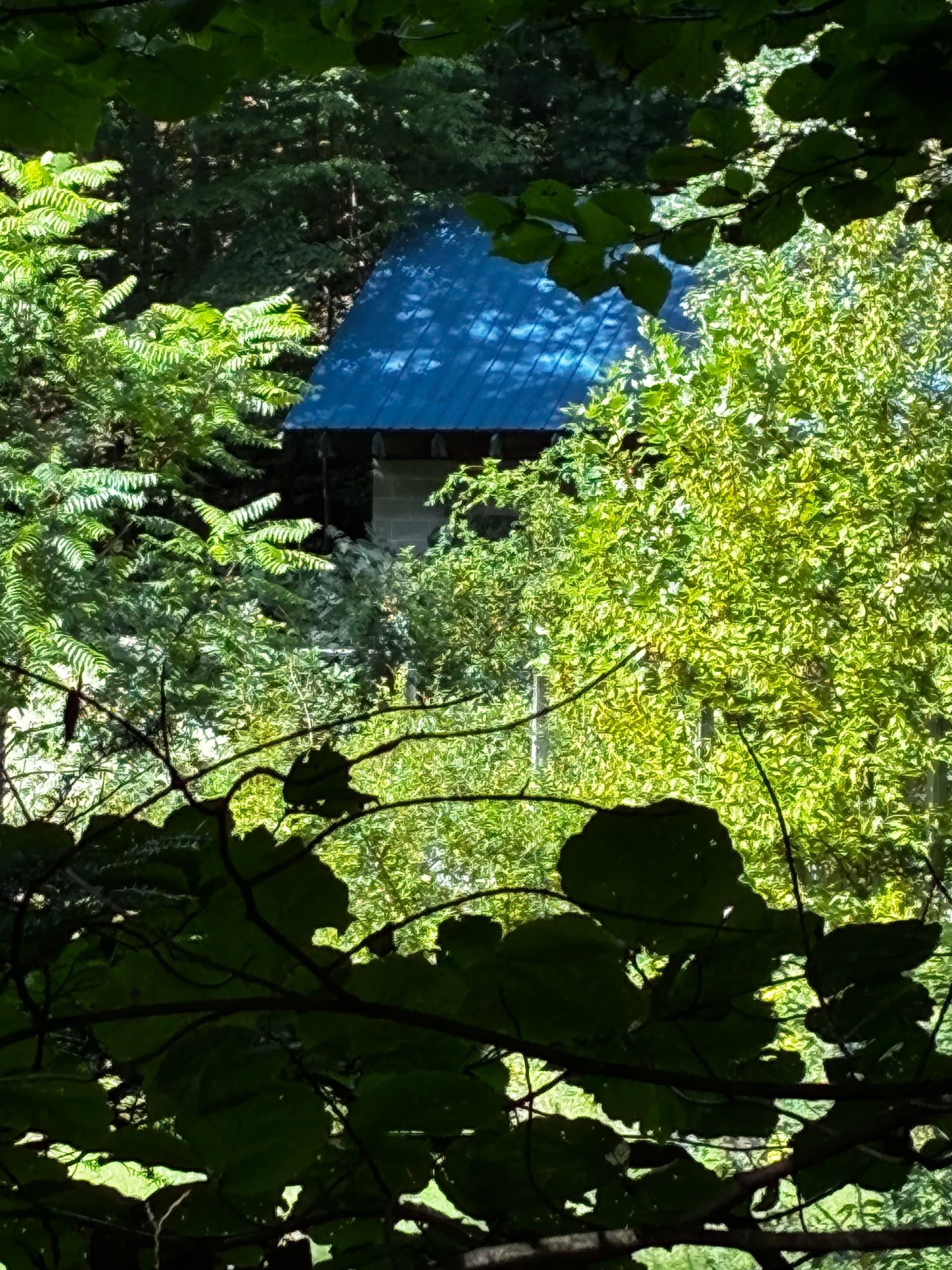 Storage Shed Build in Progress - From Ground Up