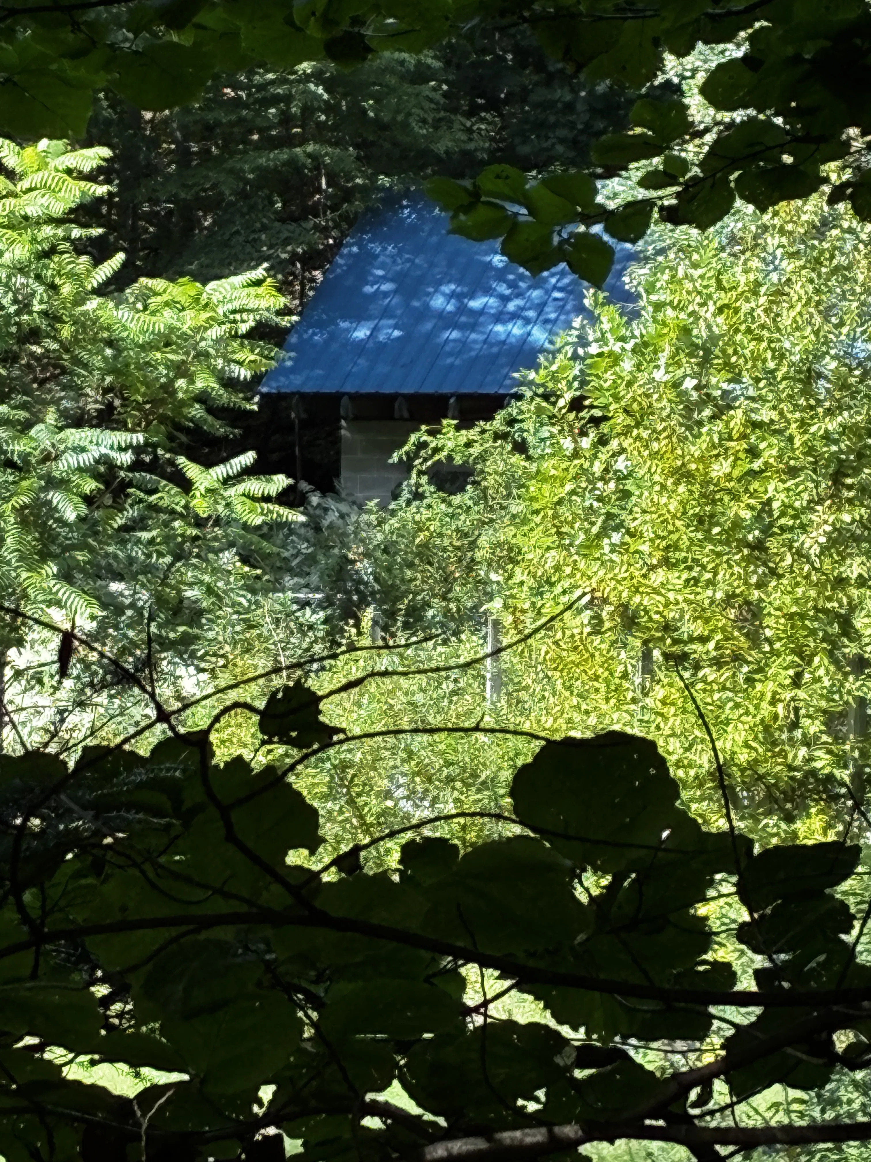 Project Storage Shed Build in Progress - From Ground Up image